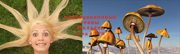 индика Абдулино