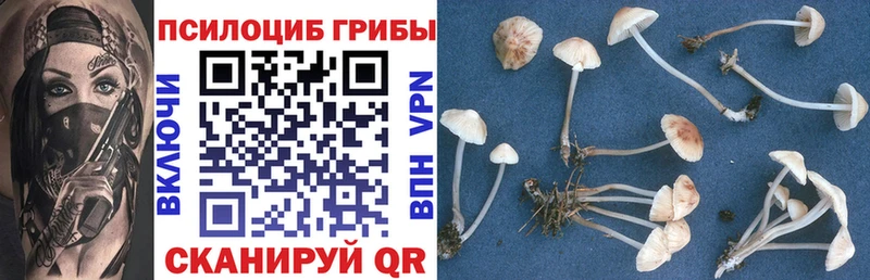 Галлюциногенные грибы Magic Shrooms  купить   Артём 